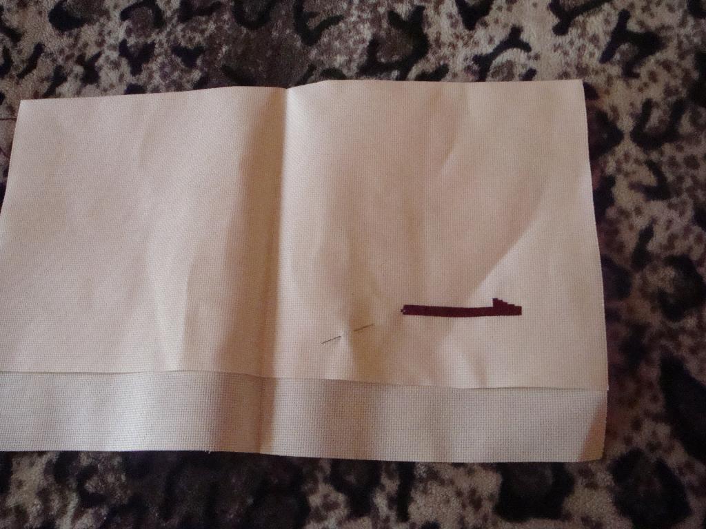 Начато 5 марта. Пионы( ПРОЦЕСС)