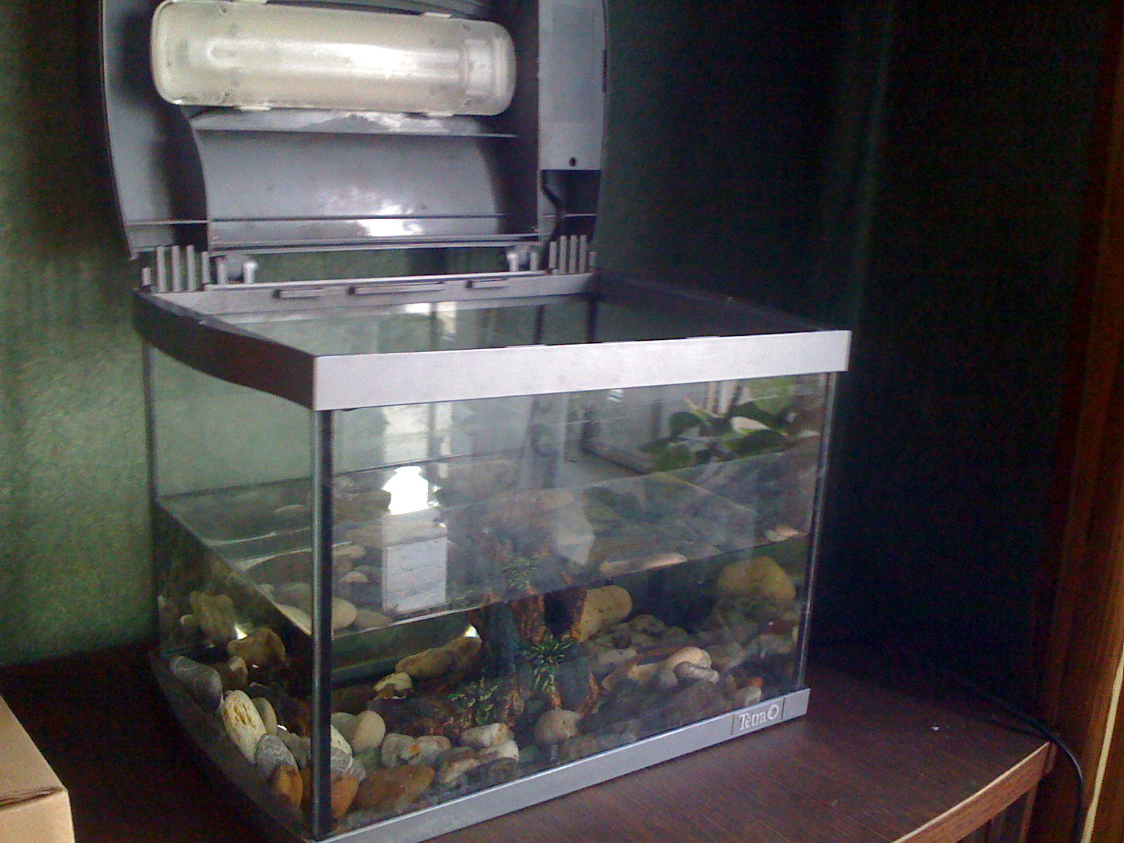 Аквариум хор. состояние с подсветкой. Для животных