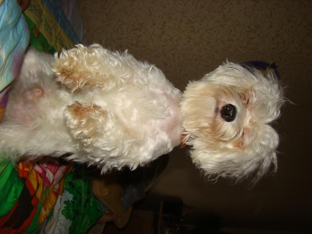 Пасхальные корзинки