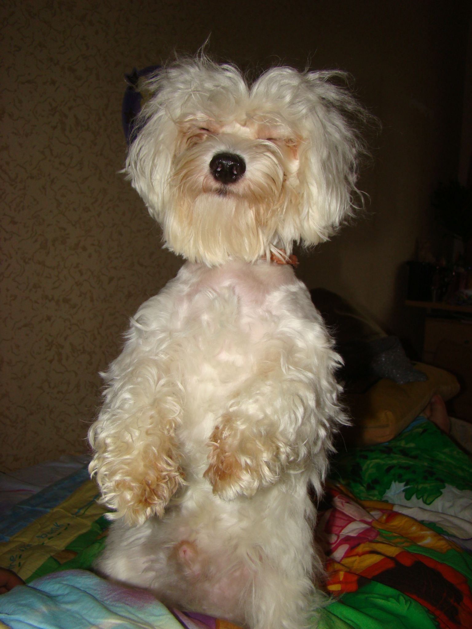 Пасхальные корзинки