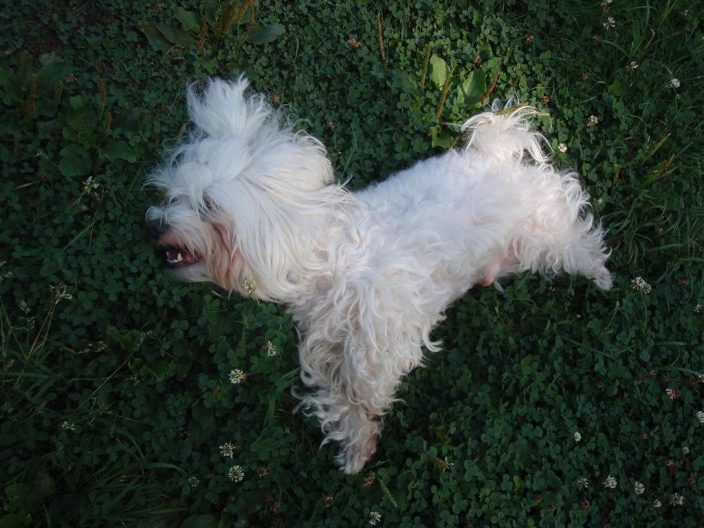 Пасхальные корзинки