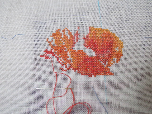 На 18.06.12 (начала16.06.12). Thea Gouverneur 2062 Papaver oranje