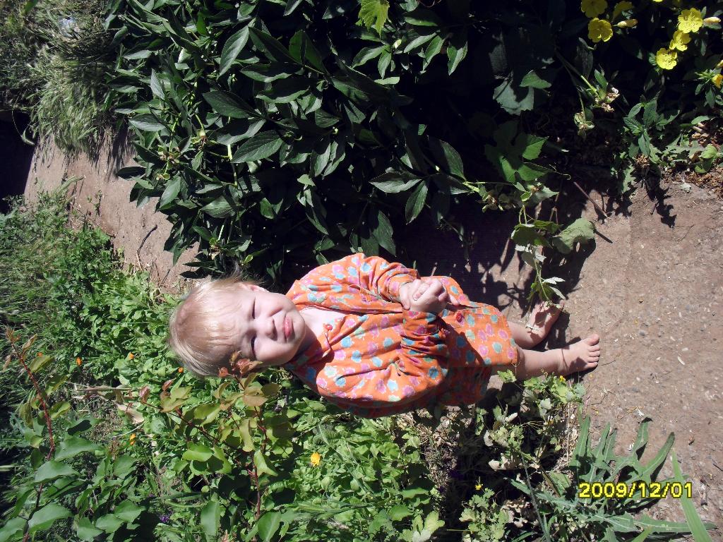 Филин в рубашке. июнь2012