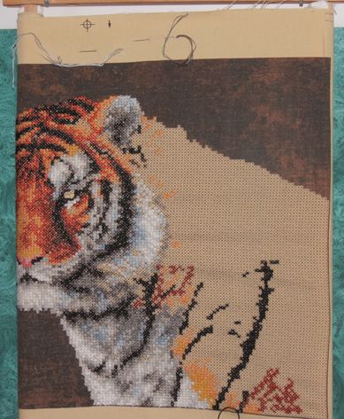 Тигр 5. Тигр