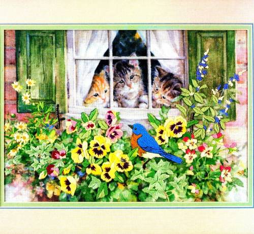 11112 Curious Trio. Sunset 1