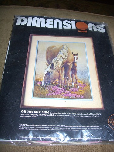 On The Shy Side. Dimensions