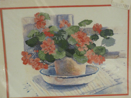 03906 Geraniums in Bloom. Dimensions