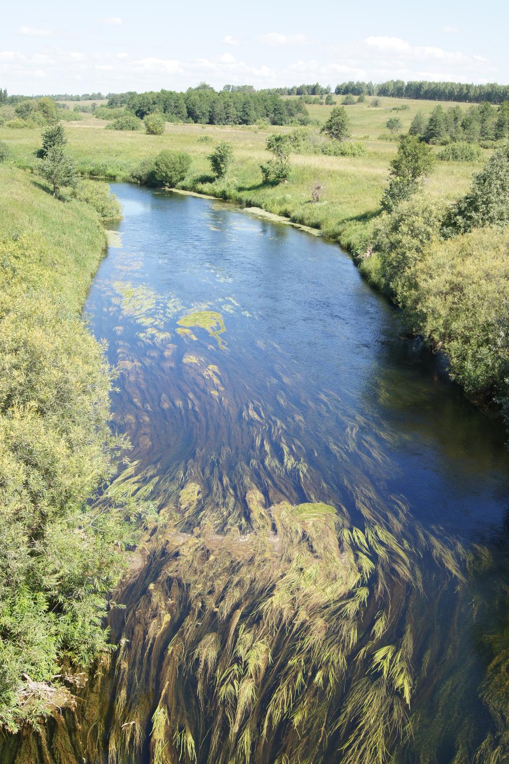 По реке бежит река широка и глубока