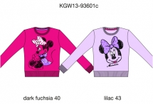 Кофта (KGW13-93601C). Кофта