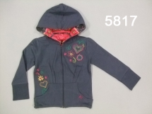 Толстовка для мальчиков (W12-5817). Толстовка