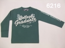 Футболка с длинным рукавом для мальчиков (W12-6216. Футболка с длинным рукавом