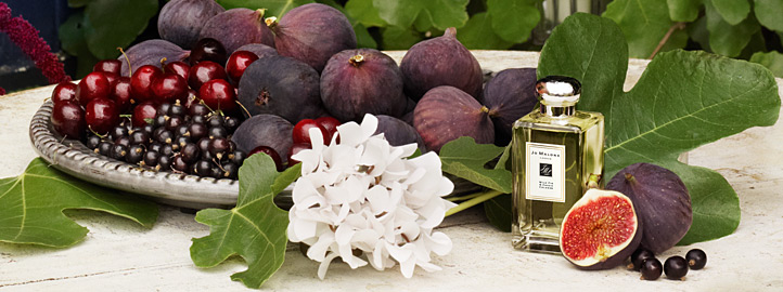 Jo Malone WILD FIG & CASSIS. Jo Malone