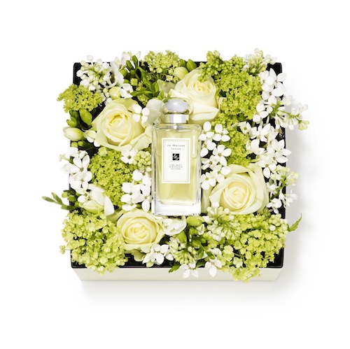 White moss казань. Пакет Jo Malone. Jo Malone упаковка. Духи в цветочной упаковке. Парфюм в коробке цветочный.