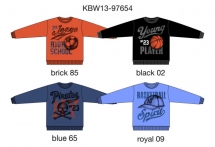 Кофта (KBW13-97654). Кофта