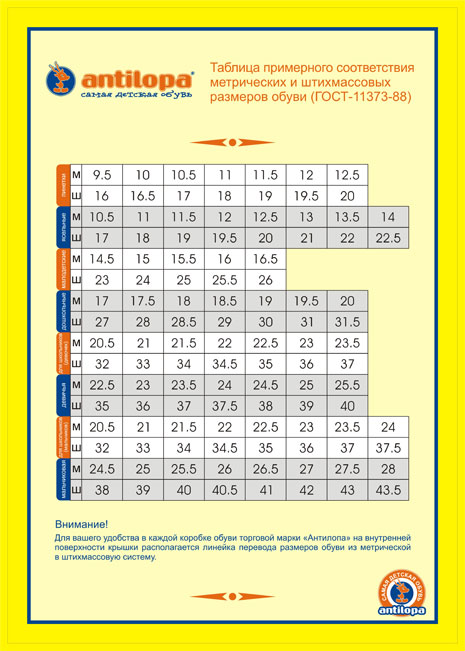 размерная сетка. ПИАР