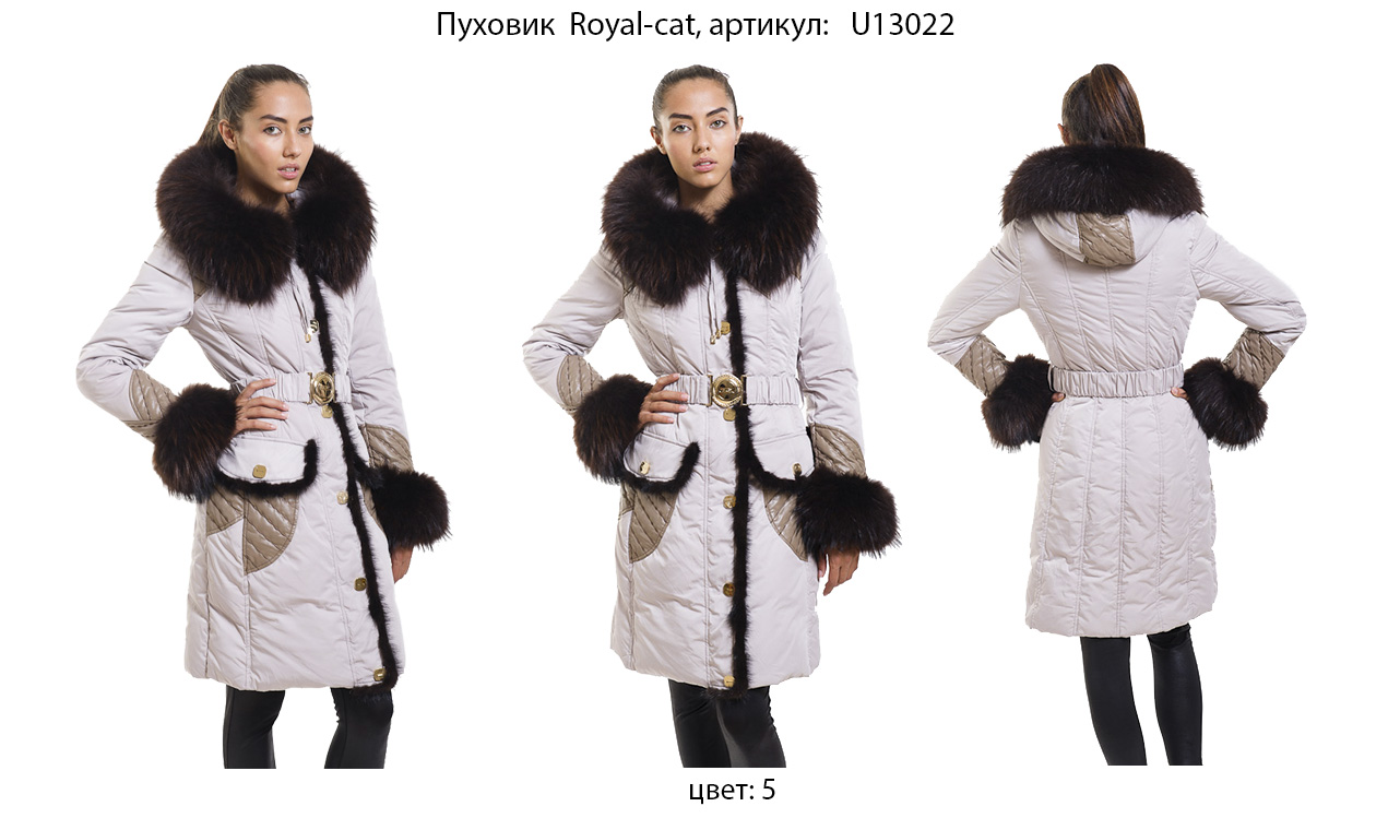 Royal Cat u13156.