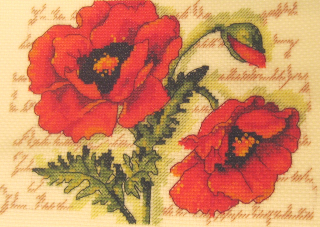 Последние маки. Вышивка