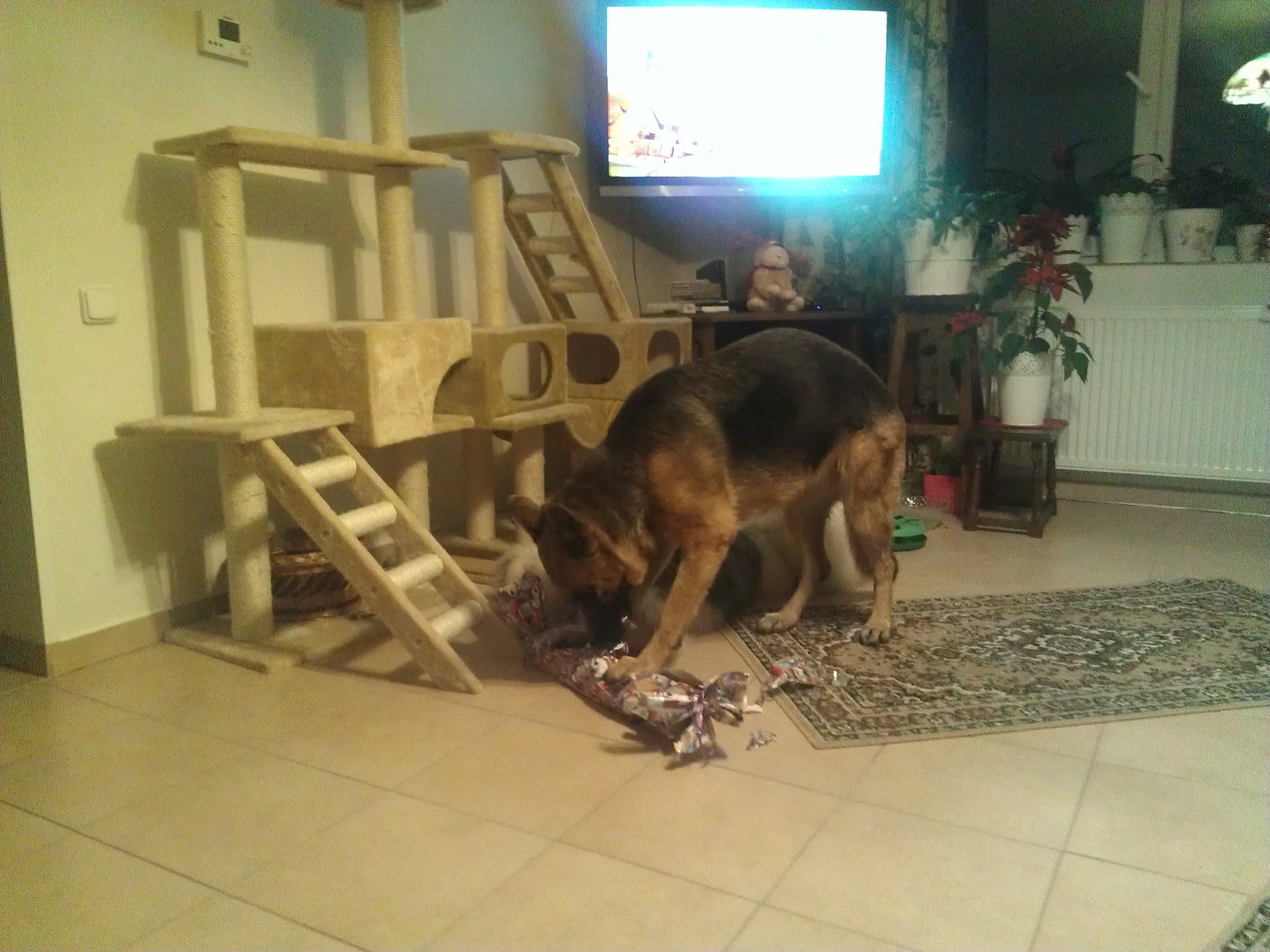 Подарки. Звери