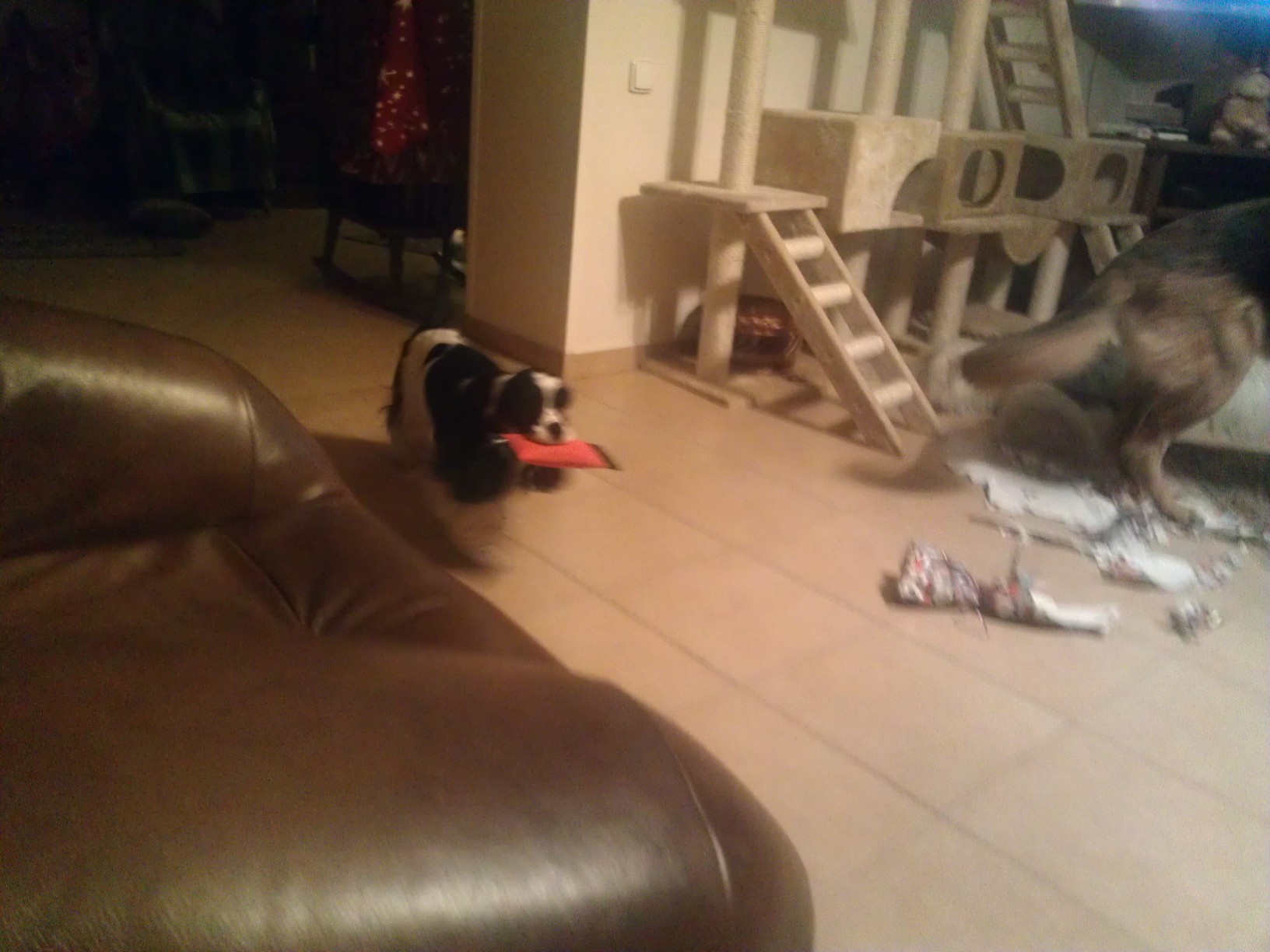 Еще подарки. Рождественская Прага 2012