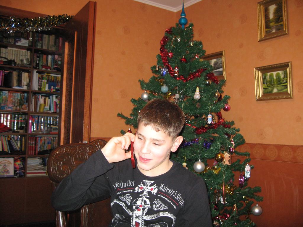 Новый год-2013