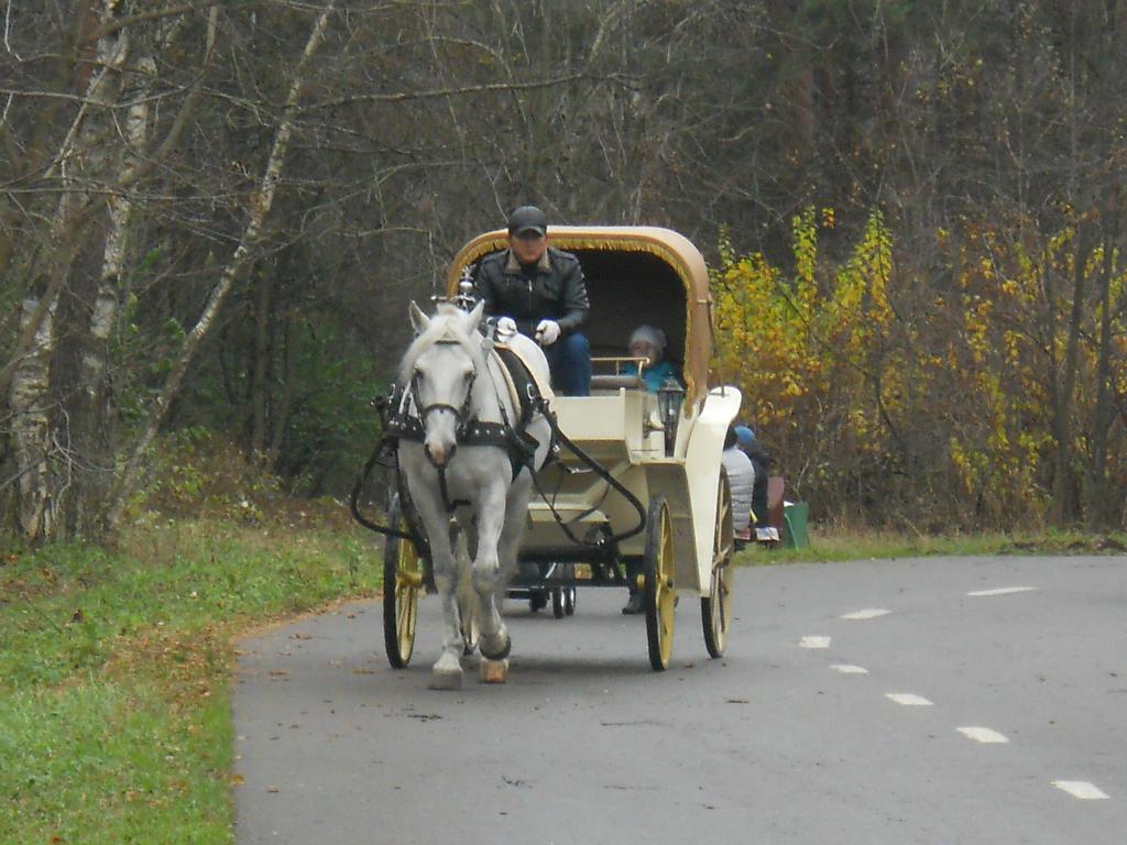 Презентации