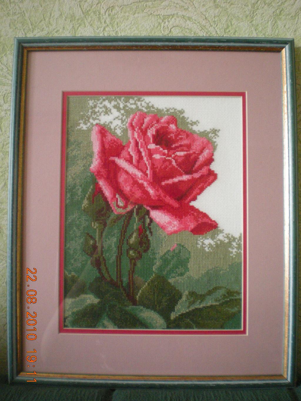 Прекрасная Роза. . Хобби. Вышивка