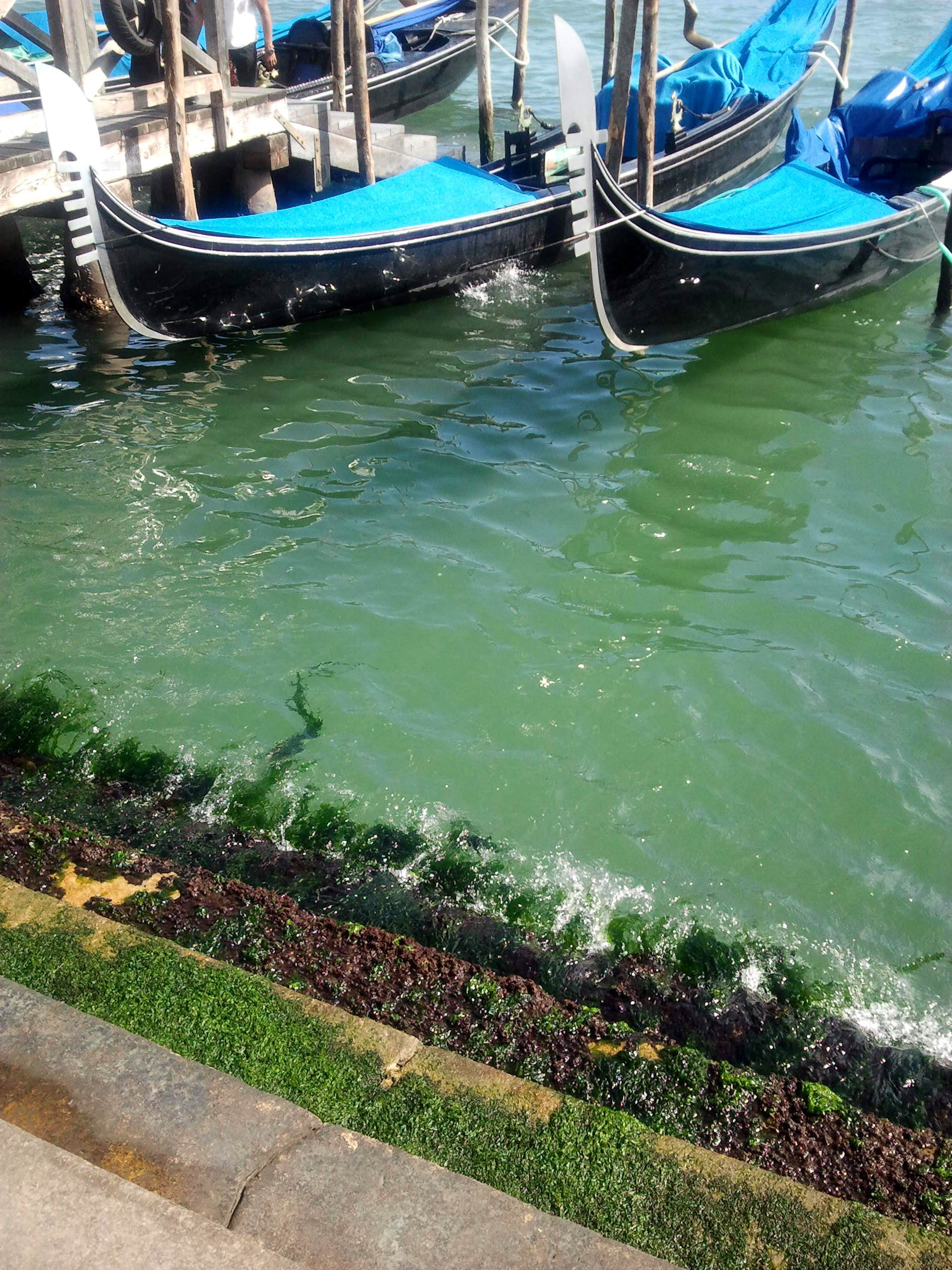 Венеция. пять ступенек. с миру по нитке