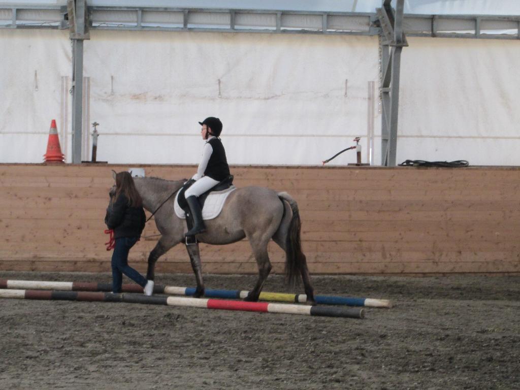 Фестиваль по конному спорту для спортсменов с ограниченными возможностями 'Золотая осень'