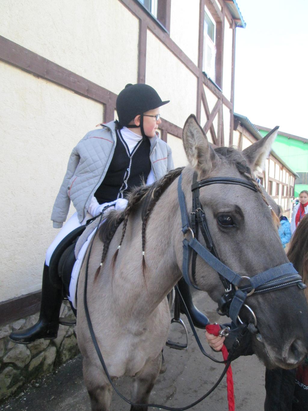 Фестиваль по конному спорту для спортсменов с ограниченными возможностями 'Золотая осень'