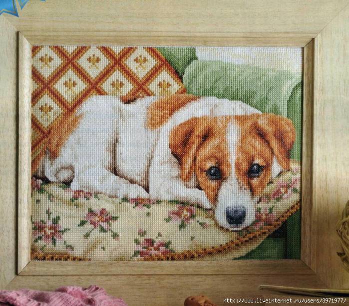 it*s a dog*s life. Разное о собаках