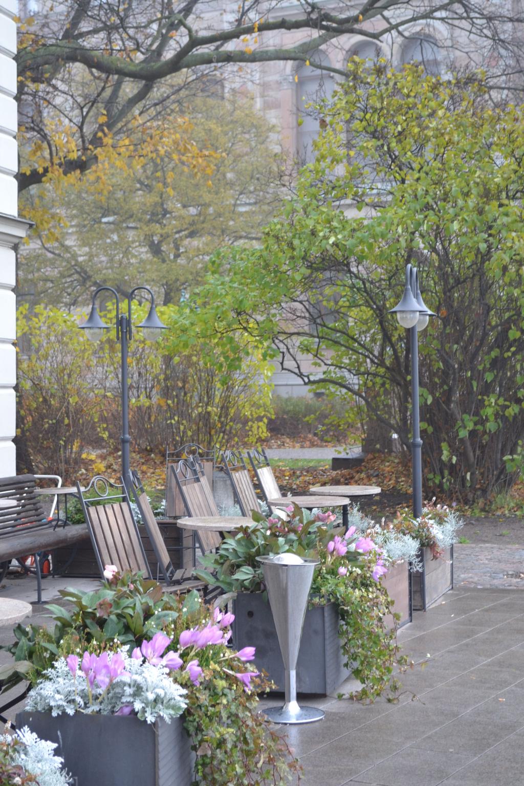 Стокгольм ноябрь 2013