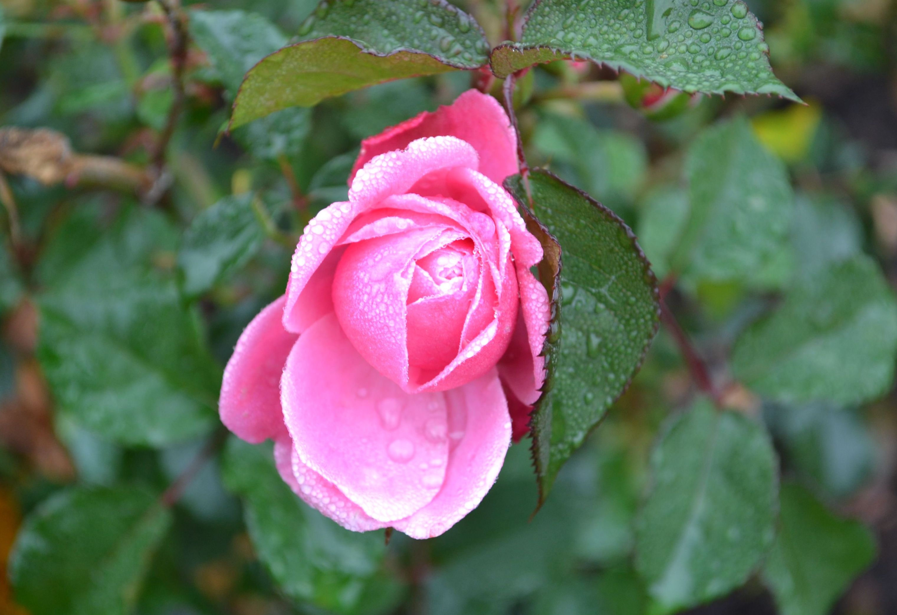 Стокгольм ноябрь 2013