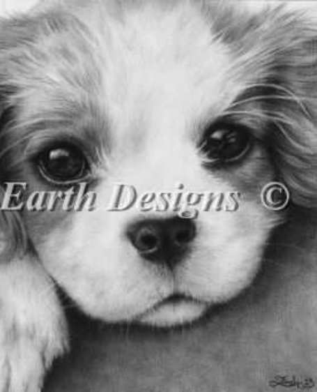 взгляд щенка. Разное о собаках