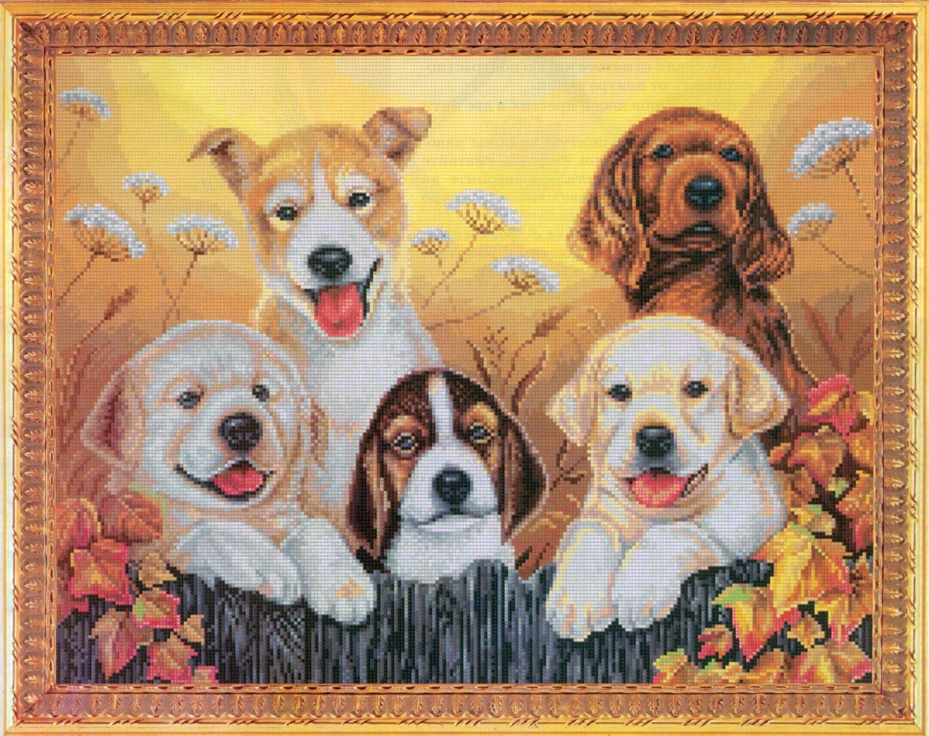 веселая компания. Разное о собаках