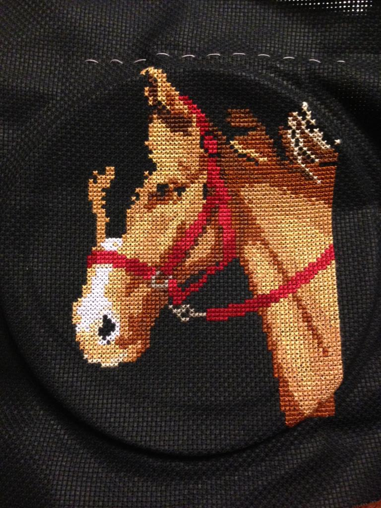 2 недели. Лошадка (закончена)