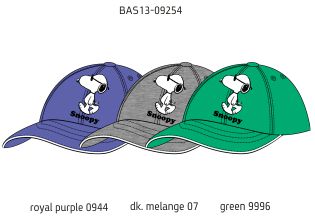 Кепка для мальчиков (BAS13-09254). Кепка