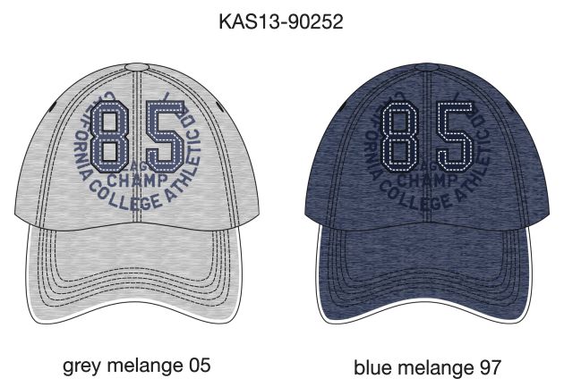 Кепка для мальчиков (KAS13-90252). Кепка