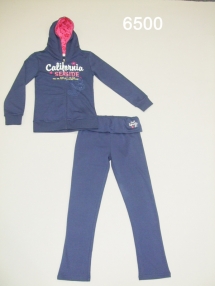 Спортивный костюм для девочек (Z13-6500). Спортивный костюм