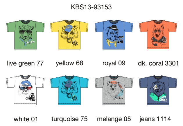 Футболка для мальчиков (KBS13-93153). Футболка