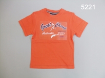 Поло для мальчиков (Z13-5221). Поло