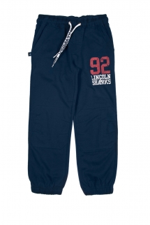 2M2310. Спортивные брюки