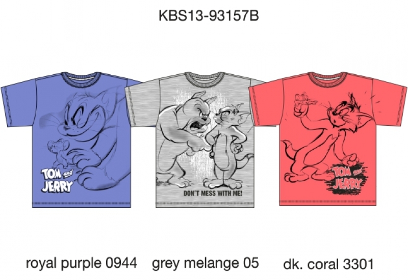 Футболка для мальчиков (KBS13-93157B). Футболка