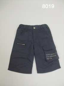 Бриджи для мальчиков (Z13-8019). Бриджи