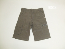 Шорты для мальчиков (Z13-9003). Шорты