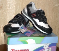 Пристроено