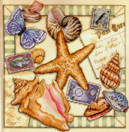 35242 Shell Collection. Dimensions