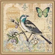 35290 Nature study. Dimensions