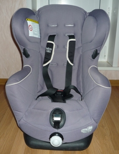 Пристроено