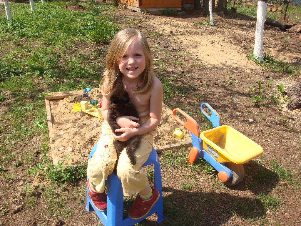 Котёнок Лукас