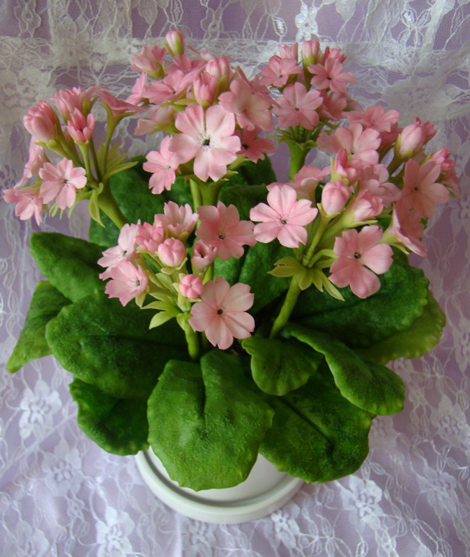 Керамическая флористика (лепка цветов из полимерной глины) - Мои работы